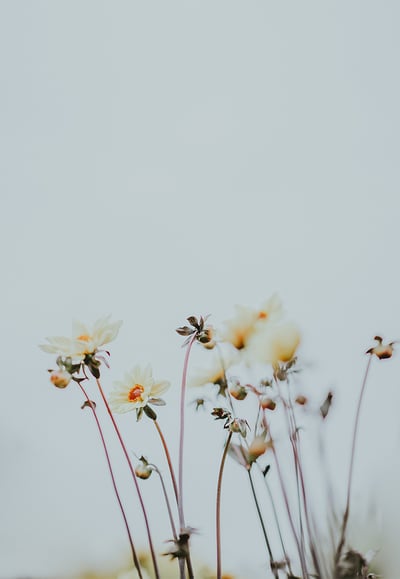Nature6_670x970
